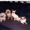 patnavarro925 - @patnavarro925 - TikTok