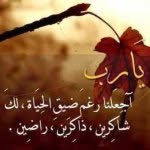 @pat_naver_wil - Instagram
