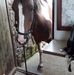 Pat Neale - Facebook