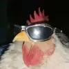 patneff_ ship or dip - @patneff_.ship.or.dipp270 - TikTok