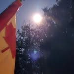 Pat Neumann - @pateneumann - Instagram