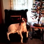 Pat Newell - @pat.newell.925 - Instagram