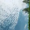 pat_noon - @pat_noon - TikTok