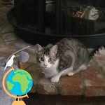 Pat Oldham Nickoli - @patricianickoli - Instagram