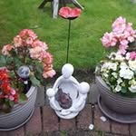 Pat Orrell - @patorrell - Instagram