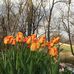 Patrick Oswald - Facebook