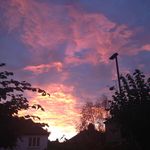 Pat Owen - @patowen63 - Instagram