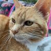 pat_parks_1942 - @pat_parks_1942 - TikTok