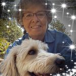 Pat Parks - @pat_parks - Instagram
