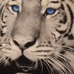 Pat Patel - Facebook