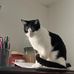 Pat Paul - Facebook