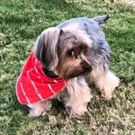 Pat Payne - @patpayne69 - Instagram