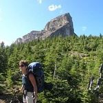 Pat Pearce - @patpearce6774 - Instagram