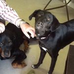 Pat Pearce - @patanddonp - Instagram