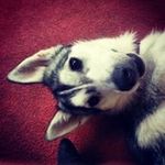 Pat Pearce - @sonpat.pearce3 - Instagram