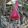 patriciapeaylillo - @patriciapeaylillo - TikTok