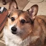 Pat Peeler - @peelerpat - Instagram