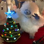 Patty Ann Pickens - @pattyspeacebypiece - Instagram