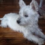 Pat Pickering - @patsy.pickering - Instagram