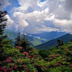 Pat Pickering - @1796granpat - Instagram