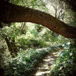 Pat Pike - @flowerheadpat - Instagram