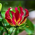 Patti Pike - @pat.pike.925 - Instagram