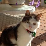 Pat Pomeroy - @southperth63 - Instagram