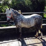 Pat Pomeroy - @pat.pomeroy1 - Instagram