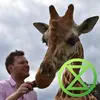 Patrick Pomeroy - @patrickpomeroy1 - TikTok