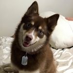 Patty Mae Pomeroy - @pattypomeroy3 - Instagram
