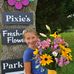Pixie's Posy Patch - Facebook