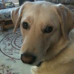 Pat Prather - @patiloupem - Instagram