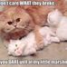 Pat Prather - Facebook