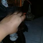 Delany patrica prescott rodrig - @delanypatricaprescott - Instagram