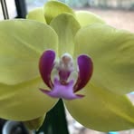 Pat Prescott - Facebook