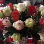 Pat Prescott - @patrp1117 - Instagram