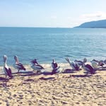 Pat Preston - @patprestonphoto - Instagram
