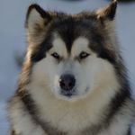 PAT PRIDE - @pat_pr1d3 - Instagram