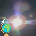 Pat Pringle - @ptpringle - Instagram