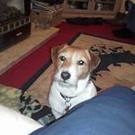 Pat Pringle - @pringle5964 - Instagram