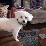 Pat Pringle - @pat.pringle.9 - Instagram