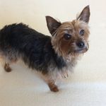 Pat Pringle - @pat.pringle - Instagram