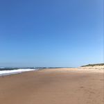 patpringle - @patpringle - Instagram