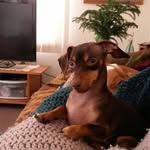 Pat Pritchard - @pritchardpatty - Instagram