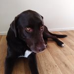 Pat Pryor - @pjpryor_68 - Instagram