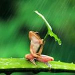 Pat Pryor - @mamayannis - Instagram