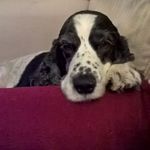 Pat Purcell - @pat.purcell.108 - Instagram
