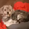 patricepurdy - @patricepurdy - TikTok