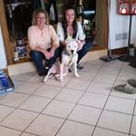 Pat Pyles - @pylespat - Instagram