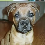 Pat Quinlan - Facebook